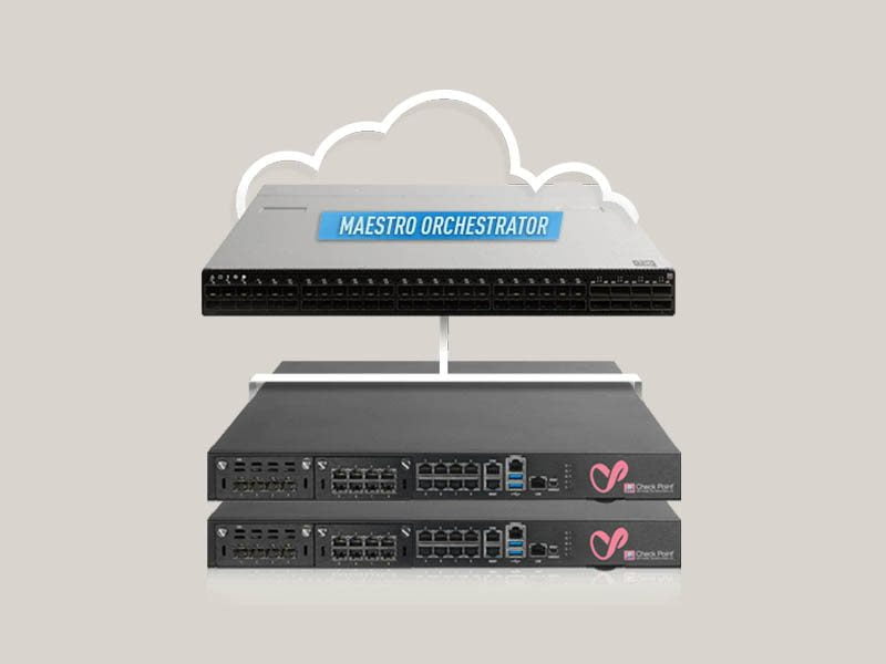 Check Point Maestro Hyperscale